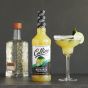 32 oz. Jalapeno Margarita Cocktail Mix by Collins