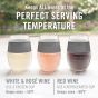 Wine FREEZE™ in Grey (1 pack) by HOST®