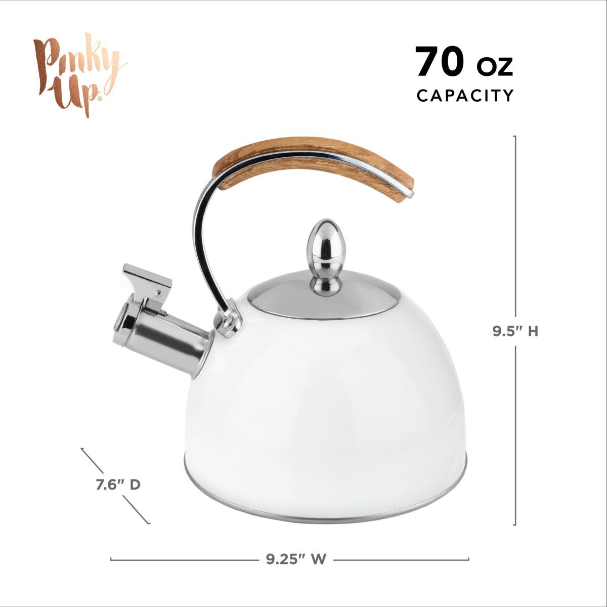 Stove top clearance kettle myer